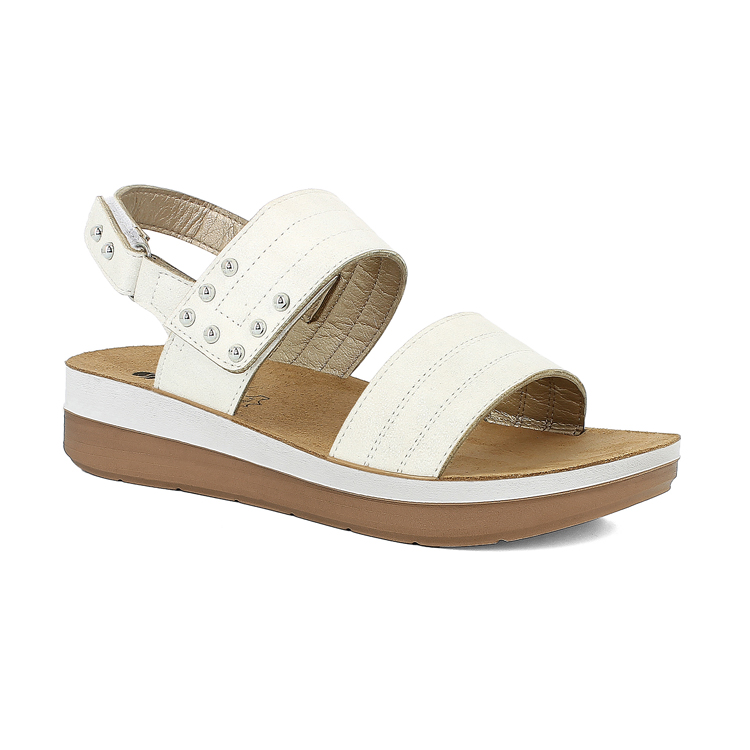 AZALEA [067] +€15,33